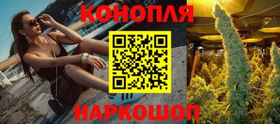 сатива Краснокаменск