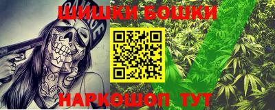 стаф Краснодар