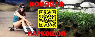 стаф Краснодар