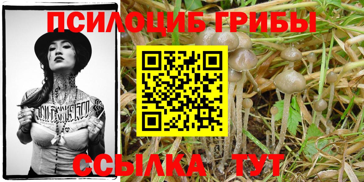 Псилоцибиновые грибы ЛСД Шелехов