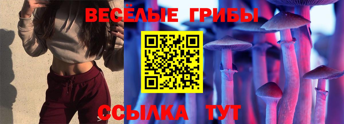 Шелехов  Галлюциногенные грибы Magic Shrooms  Вход с VPN 